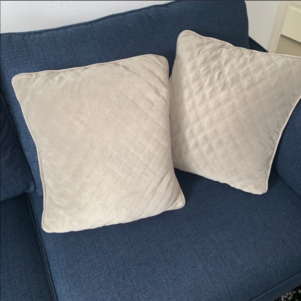 Throw Pillow Set of 2 Grey